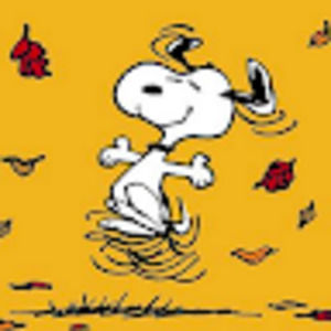 Meet your Posher, Britany